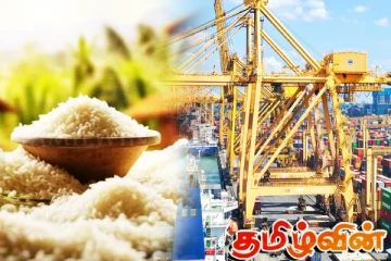 அரிசி தட்டுப்பாட்டுக்கு விரைவில் தீர்வு!