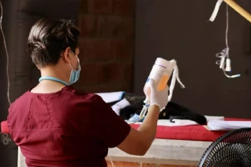 திடீரென்று மரங்களில் இருந்து சுருண்டு விழுந்து இறக்கும் குரங்குகள்: கடும் வெப்பத்தால் தகிக்கும் ஒரு நாடு