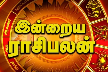 இன்றைய ராசி பலன்(03.11.2024)
