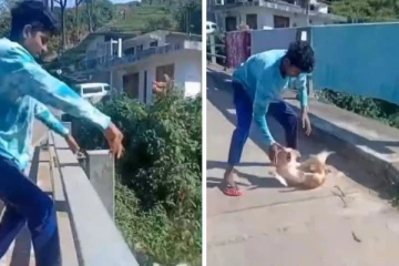 நாயை தூக்கி அடித்த இளைஞனுக்கு நேர்ந்த கதி