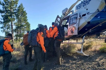 மலை உச்சியிலிருந்து வீழ்ந்த எஜமானரை மீட்ட செல்லப்பிராணி