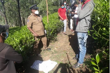 தேயிலை மலையிலிருந்து சிசுவின் சடலம் மீட்பு! விசாரணைகள் தீவிரம்