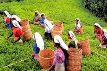தமிழர் வாழ்வில் ஏற்பட்ட மாற்றத்தால் பெரும் நெருக்கடி