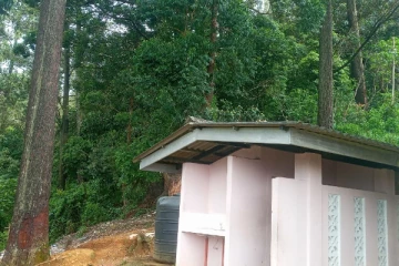 பிரபல பாடசாலைக்கு அருக்கில் ஆபத்தான வகையில் மரங்கள் ; கோரிக்கை விடுத்தும் பயனில்லை; அதிபர் கவலை