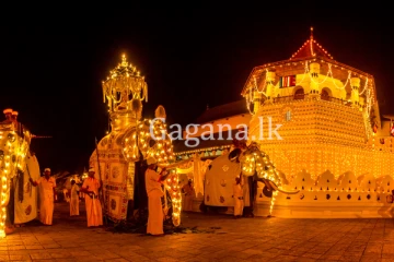 මහනුවර ඇසළ මංගල්‍යයට දින නියම වෙයි.