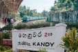 பயணிகள் கவனிக்கவும் ; மூன்று புகையிரத கடவைகள் மூடல்