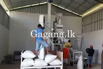 මෙරට සහල් නිෂ්පාදකයින්ට බඩේ පහර ද? - රජයෙන් නව චීන හාල් මෝලක්.