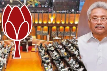 පොහොට්ටුවේ බහුතරය ජනපති හමුවේ කියූ දේ