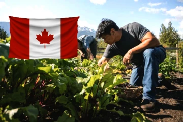 பிரிட்டிஷ் கொலம்பியாவில் இந்திய வம்சாவளியைச் சேர்ந்த விவசாயிகளுக்கு பிரச்சினை., அரசிடம் உதவி