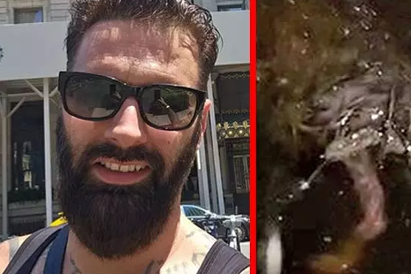 Rat Soup