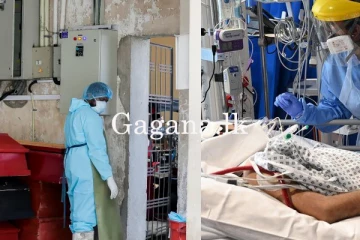 ශ්වසන ආබාධයකට රෝහලට ඇතුලත් කළ සැරයන් මරුට.