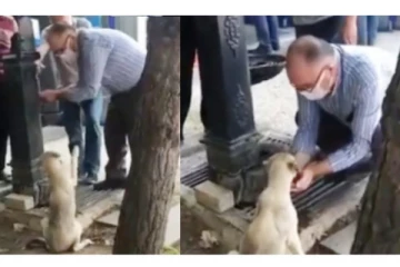 தாகத்தோடு தவித்த நாய்க்கு தன் கைகளால் தண்ணீர் கொடுத்த நபர் - நெகிழ்ச்சி வீடியோ வைரல்
