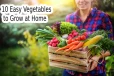 வீட்டில் தோட்டம் இல்லையா? கவலை வேண்டாம்... இந்த காய்கறிகளை வளர்க்கலாம்