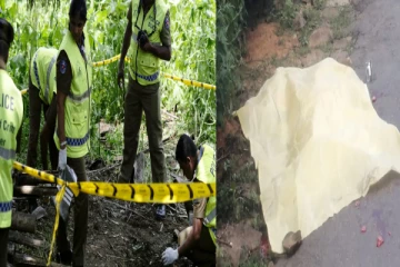 மன்னார் இரட்டைக்கொலை: காடுகளுக்குள் தலைமறைவான குற்றவாளிகள்! வெளிவரும் பின்னணி