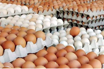 இந்தியாவிடமிருந்து 3 மில்லியன் முட்டைகள் இறக்குமதி