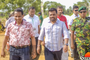 ජනපති උතුරේ බීජ පොල් නිෂ්පාදන ඒකකය අරඹයි