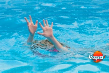 කිරිසප්පයෙක් දියේ ගිලී මරුට