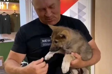 உக்ரைனில் போர் ஓநாய்களை களமிறக்கும் புடின்: kamikaze ட்ரோன்களால் நடுங்கும் ரஷ்யா