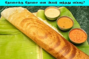 தோசைக்கு ‛தோசை’ என்று பெயர் வந்தது எப்படினு தெரியுமா? சுவாரசிய கதை இதோ