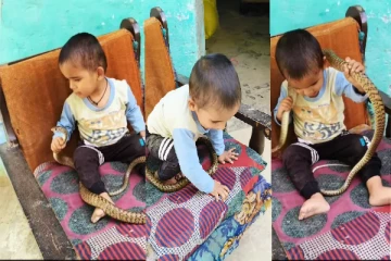 பாம்புடன் ஆக்ரோஷமாக விளையாடும் குழந்தை: கடைசியில் நடுங்க வைத்த தருணம்