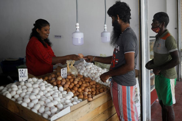 முட்டைகளுக்கு தட்டுப்பாடு! | There Was A Significant Shortage Of Eggs