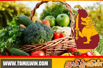 மரக்கறிகளின் விலைகளில் பதிவான மாற்றம்