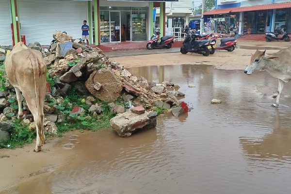 வெள்ளத்தில் மிதக்கும் பளை பொதுச் சந்தை | Palai Public Market Submerged In Floods வெள்ளத்தில் மிதக்கும் பளை பொதுச் சந்தை | Palai Public Market Submerged In Floods