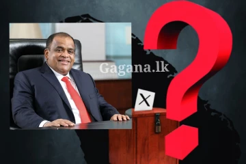 ධම්මික පෙර්‍රා ප්‍රබල පක්ෂයකින් ජනාධිපතිවරණයට..