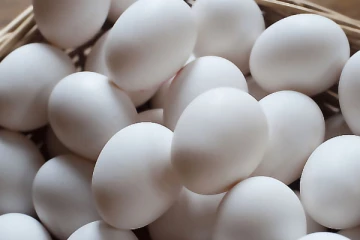 රට බිත්තර වලට පිරිසක් විරුද්ධ වෙයි - ලෙඩ නිවාඩු දමා වැඩ වර්ජනයක..