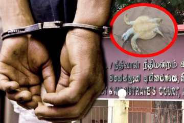 சட்டவிரோதமான முறையில் பாதுகாக்கப்பட்ட உயிரினத்தை வைத்திருந்த நபரிற்கு நீதிமன்றம் கொடுத்த உத்தரவு