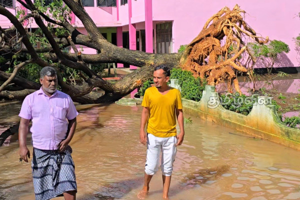 திருகோணமலையில் வெள்ளத்தில் பாதிக்கப்பட்டுள்ள மக்கள் தொடர்பில் அரசாங்க அதிபரின் தகவல் | People Affected By Floods In Trincomalee திருகோணமலையில் வெள்ளத்தில் பாதிக்கப்பட்டுள்ள மக்கள் தொடர்பில் அரசாங்க அதிபரின் தகவல் | People Affected By Floods In Trincomalee