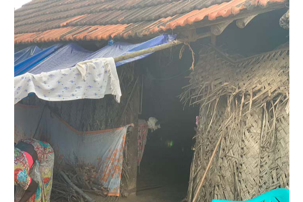 பிக்பாஸ் வீட்டிலிருந்து போன் செய்து தாமரை கூறிய ஒற்றை வார்த்தை: தங்கை பகிர்ந்த பல உண்மைகள் | Thamarai Sister Vijayalakshmi Talk Thamarai Evict