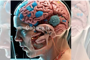 මේ දේ විනාඩි 5කින් වැඩි කරොත් නම් ප්රෙෂර් ඉවරයි..වෛද්ය විද්යාවම පුදුම කළ සොයා ගැනීම..