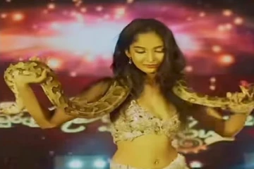 கொழும்பில் மலைப்பாம்புடன் நடனம்; யுவதியை தேடும் அதிகாரிகள்