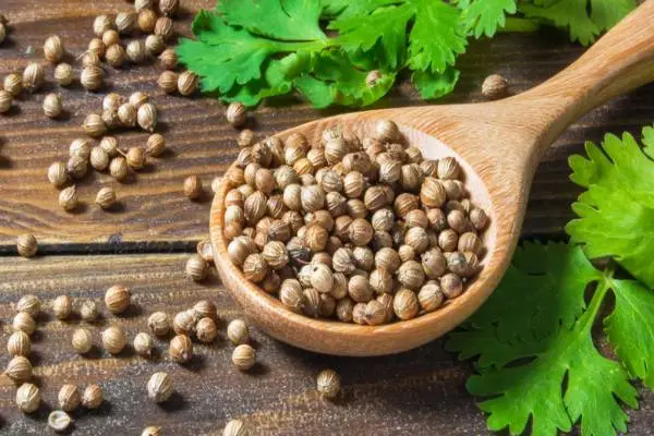 Natural Remedies: மழைக்கால வயிற்றுப் பிரச்சினைகளுக்கு 7 இயற்கை தீர்வுகள் | 7 Natural Fixes For Monsoon Stomach Problems