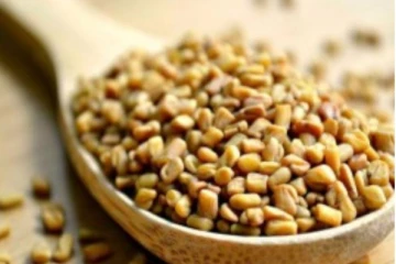 காலையில் வெறும் வயிற்றில் வெந்தயம் சாப்பிடுவதால் இத்தனை நன்மைகளா?
