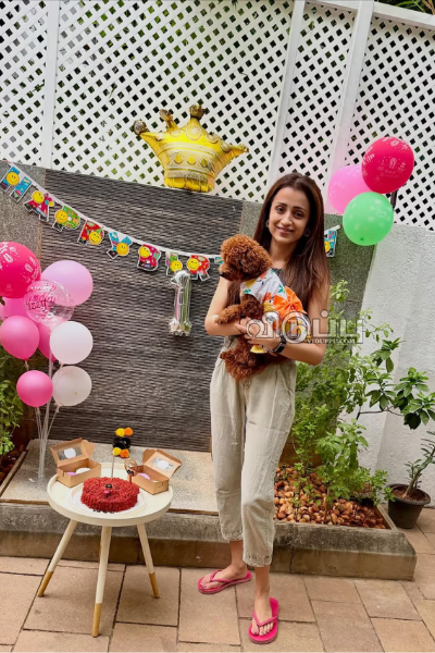 ஜாம் ஜாம்னு செல்ல மகளின் முதலாவது பிறந்தநாளை கொண்டாடிய நடிகை த்ரிஷா! | Trisha Celebration For Her Dog Birthday Photos ஜாம் ஜாம்னு செல்ல மகளின் முதலாவது பிறந்தநாளை கொண்டாடிய நடிகை த்ரிஷா! | Trisha Celebration For Her Dog Birthday Photos