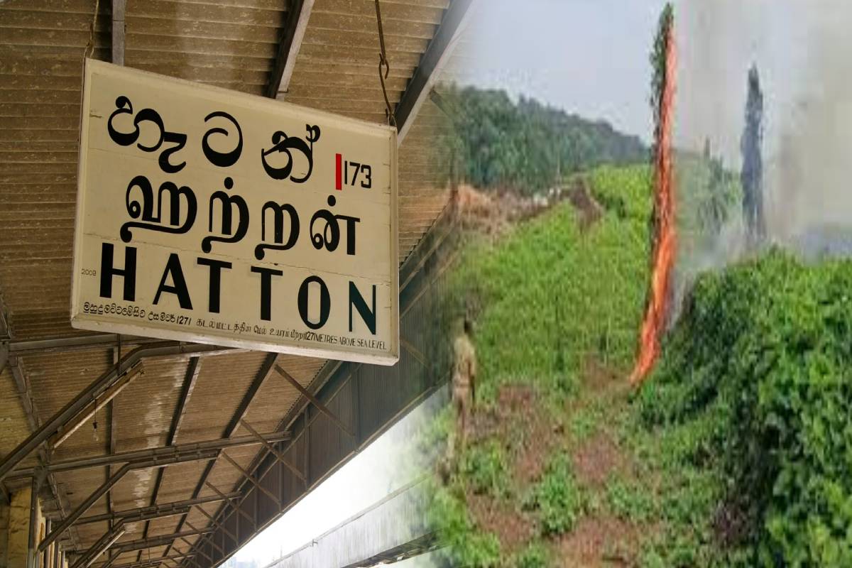 ஹட்டன் வனப்பகுதிகளில் தீ விபத்து! பொதுமக்கள் விசனம் | Fire Breaks Out In Hatton Forest Areas ஹட்டன் வனப்பகுதிகளில் தீ விபத்து! பொதுமக்கள் விசனம் | Fire Breaks Out In Hatton Forest Areas