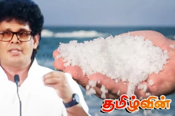 உப்பு தட்டுப்பாட்டிற்கு விரைவில் தீர்வு: அரசாங்கம் உறுதி