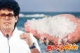 உப்பு தட்டுப்பாட்டிற்கு விரைவில் தீர்வு: அரசாங்கம் உறுதி