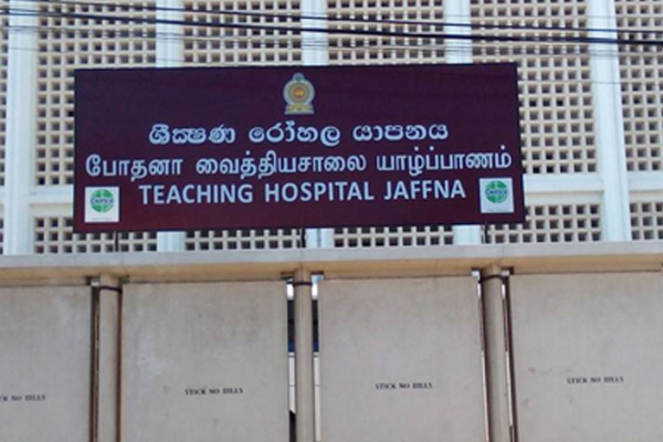 யாழ்ப்பாணத்தில் மின்சாரம் தாக்கி இளைஞன் பலி | Youth Dies After Being Electrocuted In Jaffna