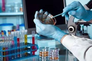 யாழ்ப்பாணத்தில் மேலும் 34 பேருக்கு கோவிட் தொற்று உறுதி