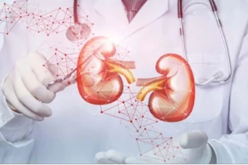 சிறுநீரக கல் பிரச்சினையால் அவதியா? எலுமிச்சை செய்யும் அற்புதம்