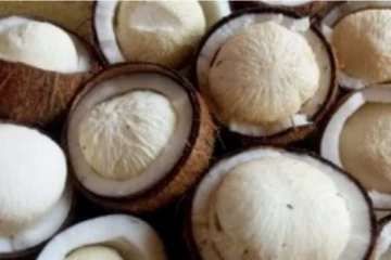 பூ விழுந்த தேங்காயினை சாப்பிட்டால் உடலில் என்னென்ன மாற்றம் நிகழும்! இவ்வளவு நன்மைகளா?