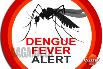 තත්ත්වය භයානකයි - ඩෙංගු අධි අවදානම් තත්ත්වයකට