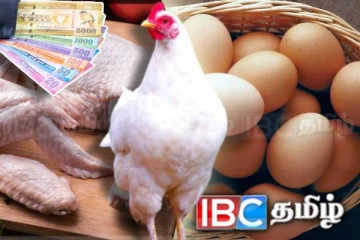கோழி இறைச்சி மற்றும் முட்டை விலையில் வீழ்ச்சி