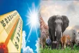 அதிகரித்துள்ள வெப்பம் : விலங்குகளுக்கு ஏற்பட்ட மன உளைச்சல்