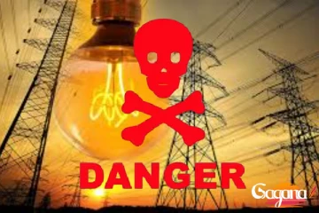 විදුලි බුබුළක් නිසා මරු කටට ගිය මල් කැකුළ