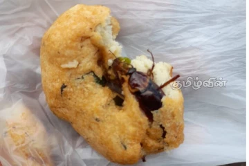 யாழ்.நகரில் விற்பனை செய்யப்பட்ட வடையில் கரப்பான்பூச்சி!உணவகத்திற்கு எதிராக சட்ட நடவடிக்கை