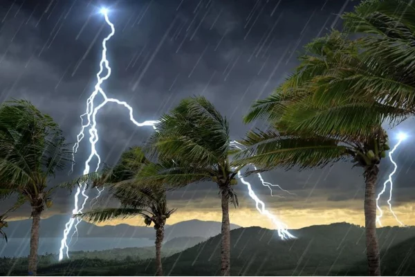 வளிமண்டலவியல் திணைக்களத்தின் முக்கிய அறிவிப்பு | Heavy Rain Alert For 15 01 2026